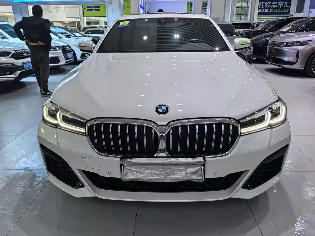 BMW 5 Series New Energy 2021 из CN, фото 5