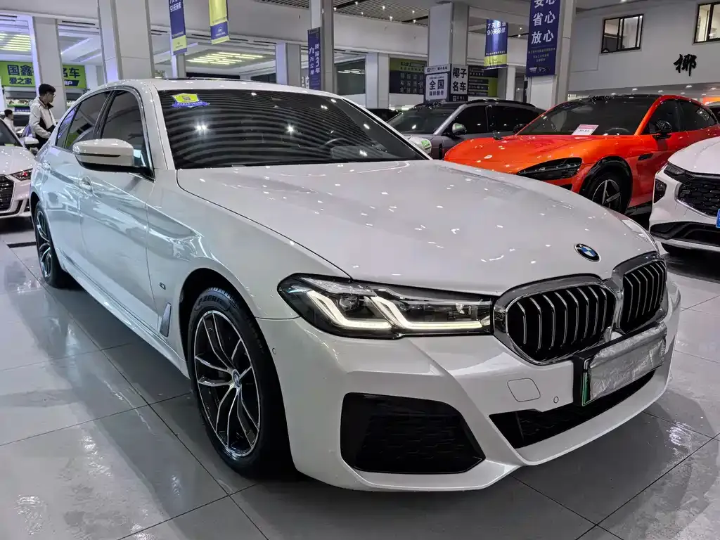 BMW 5 Series New Energy 2021 из CN, фото 3