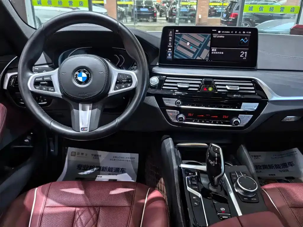 BMW 5 Series New Energy 2021 из CN, фото 6