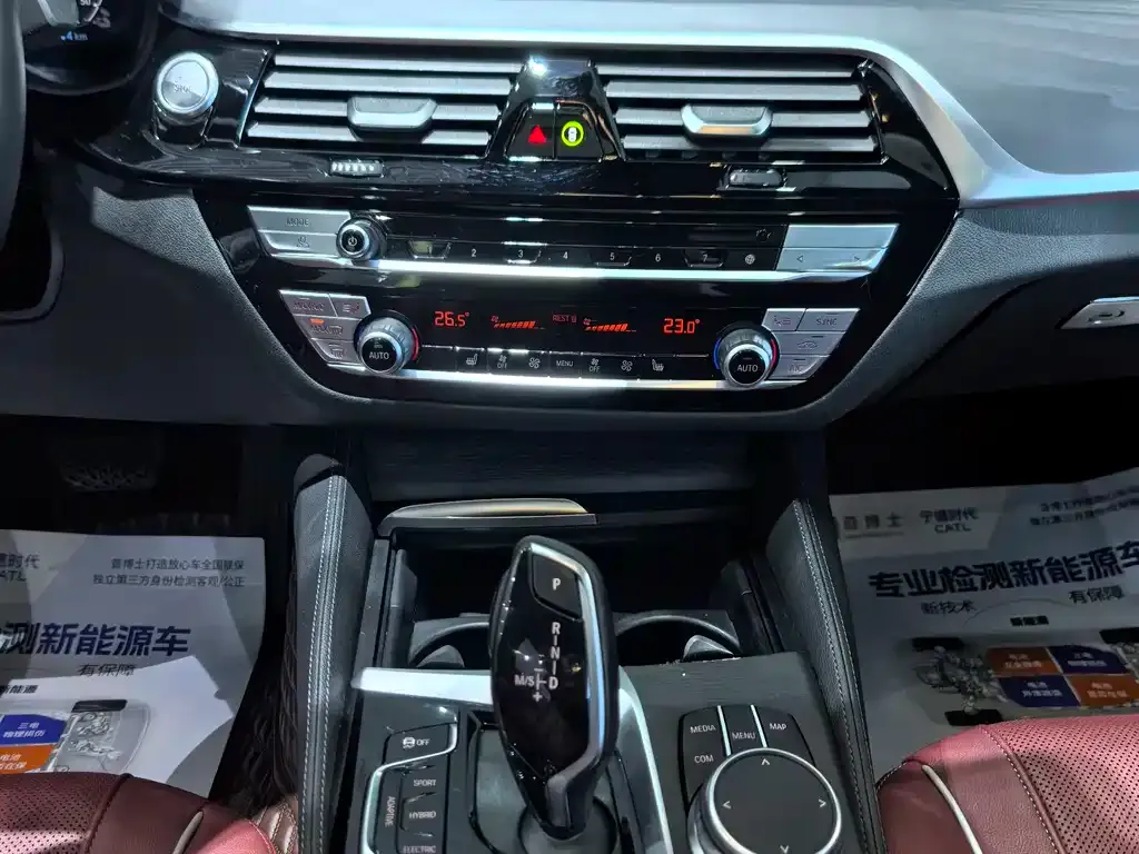 BMW 5 Series New Energy 2021 из CN, фото 7