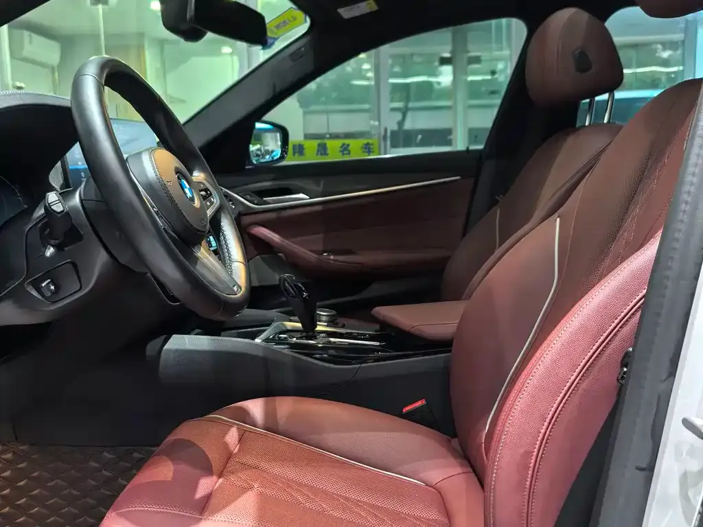 BMW 5 Series New Energy 2021 из CN, фото 10