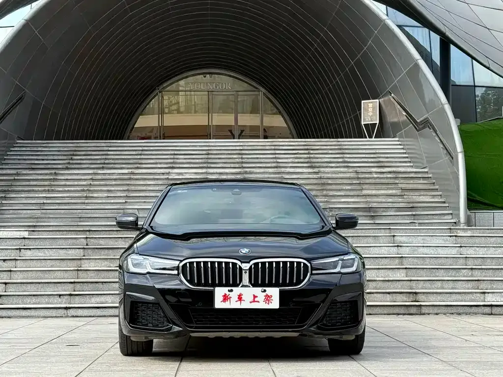 BMW 5 Series 2021 из CN, фото 8