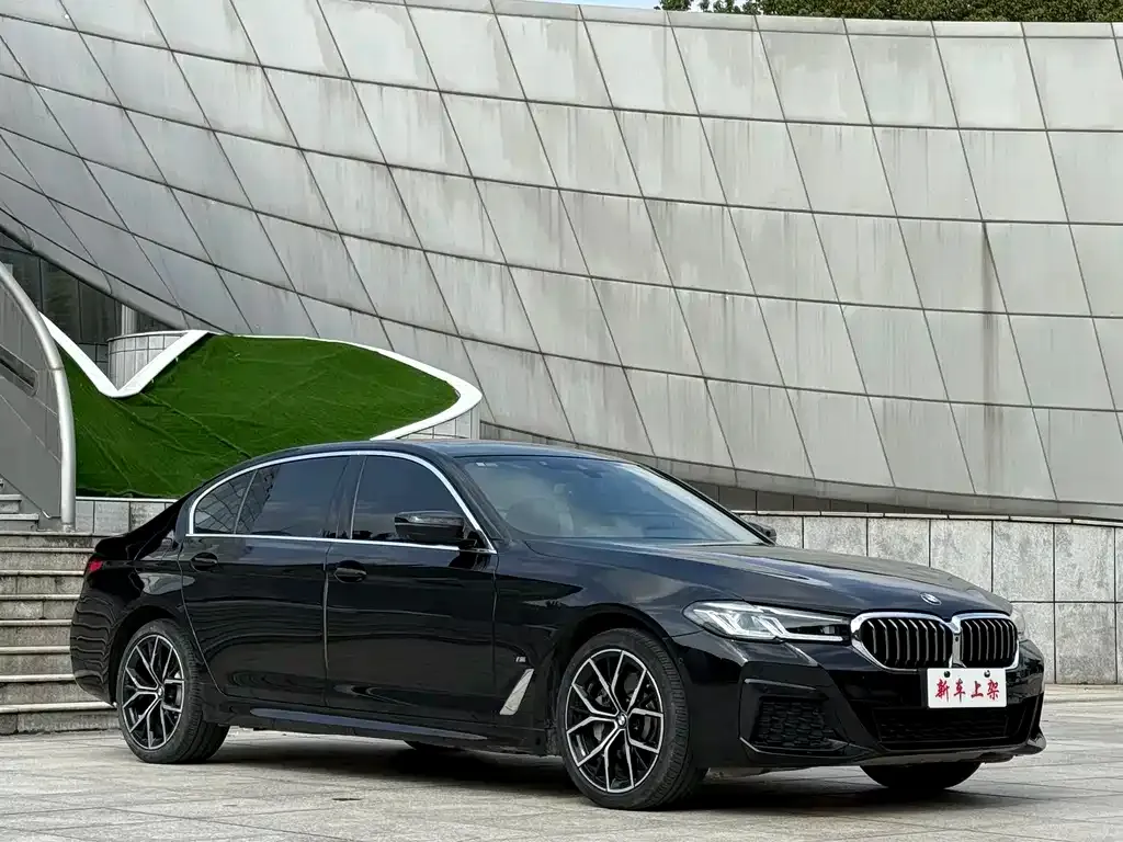 BMW 5 Series 2021 из CN, фото 6