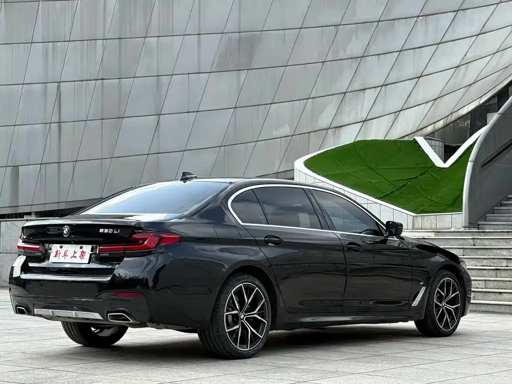 BMW 5 Series 2021 из CN, фото 4
