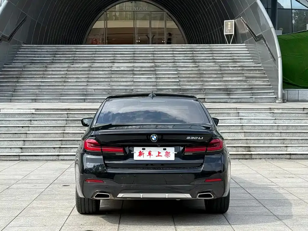 BMW 5 Series 2021 из CN, фото 7