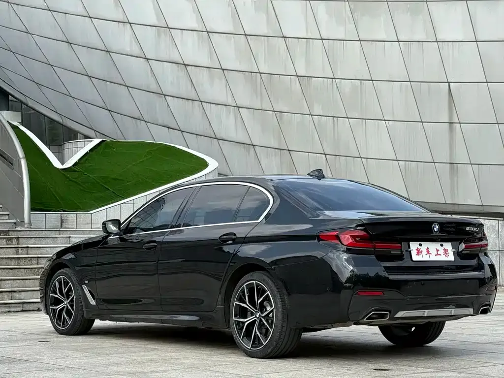 BMW 5 Series 2021 из CN, фото 9