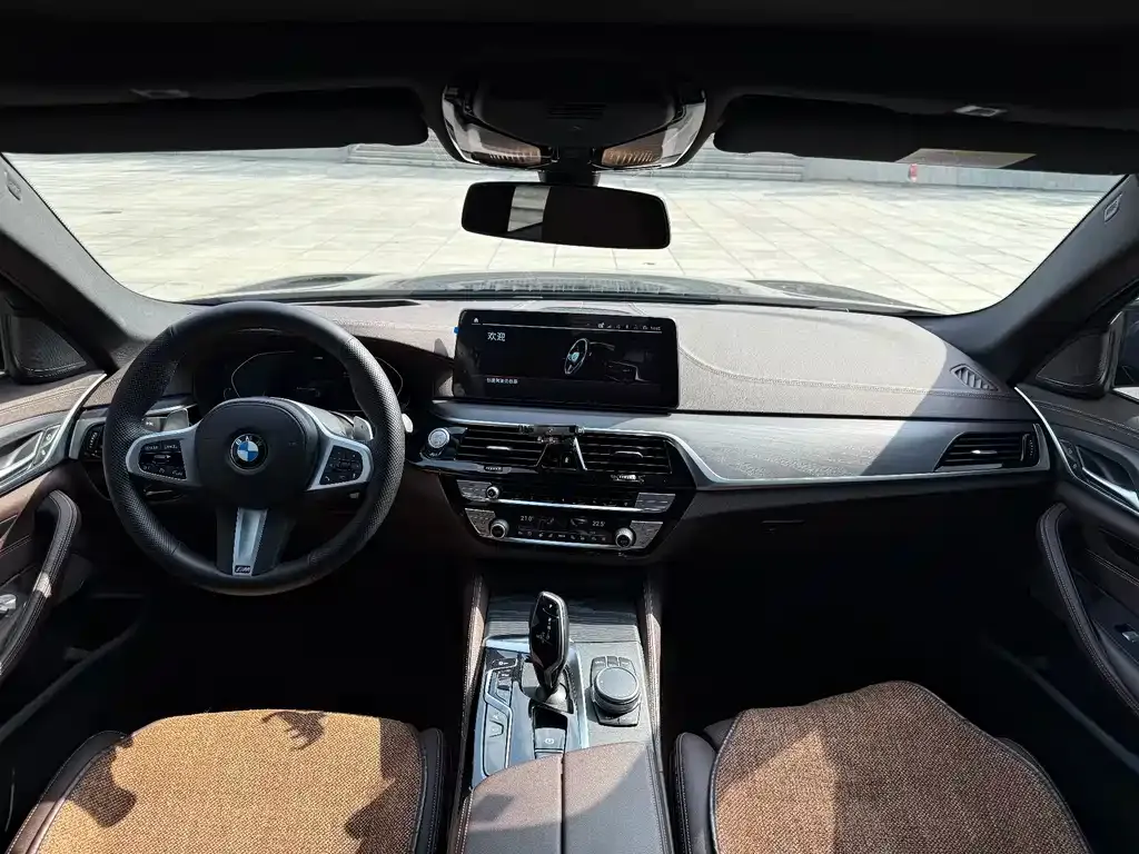 BMW 5 Series 2021 из CN, фото 3