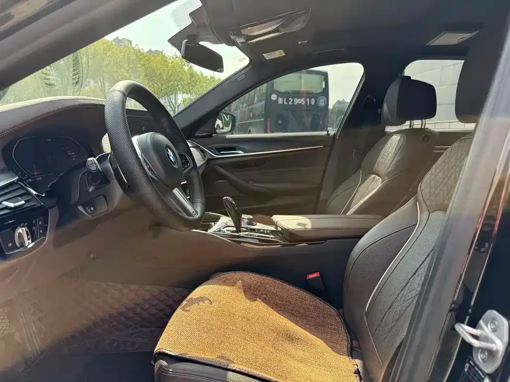 BMW 5 Series 2021 из CN, фото 5