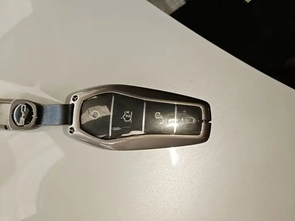 BYD L EV 2024 из CN, фото 2