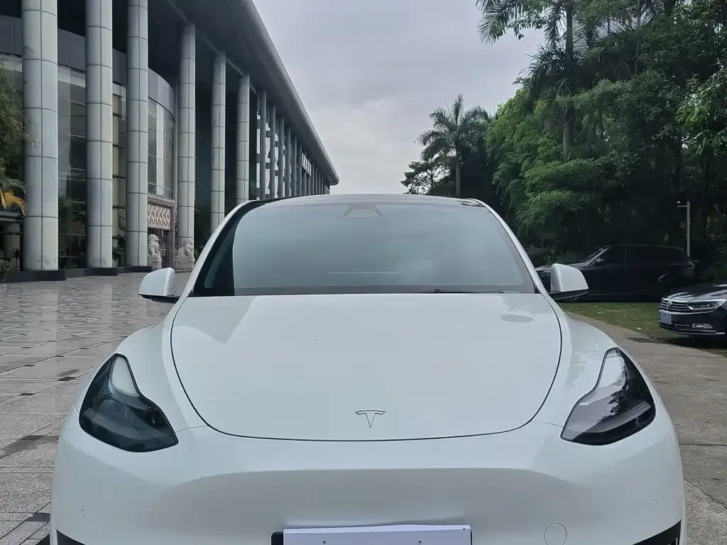 Tesla Model Y — фото 10