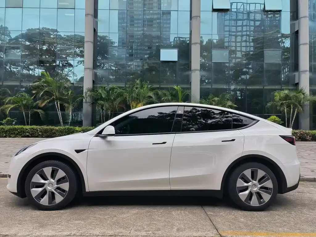 Tesla Model Y — фото 9