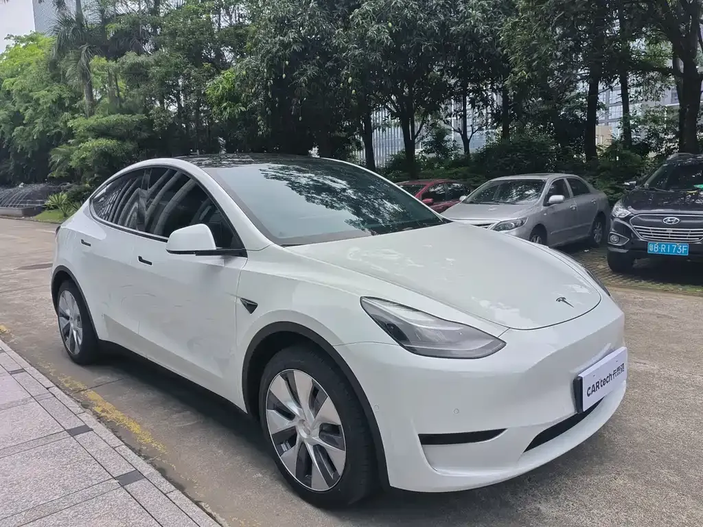 Tesla Model Y — фото 8