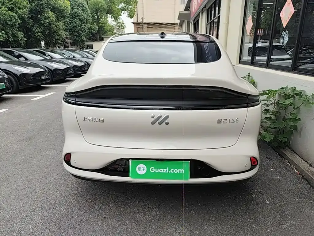IM LS6 — фото 10