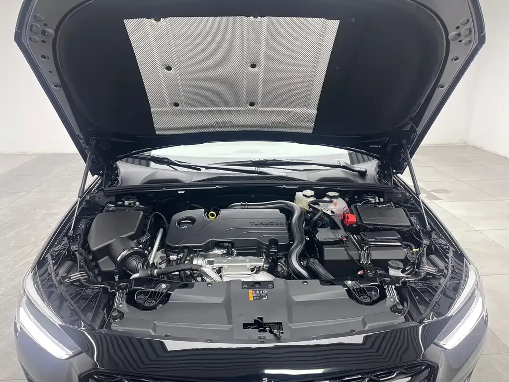 Buick Regal — фото 6