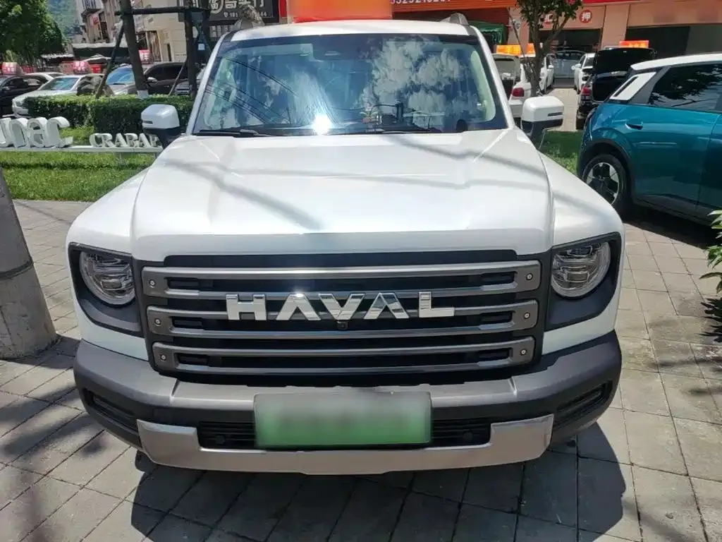 Haval Menglong New Energy — фото 10
