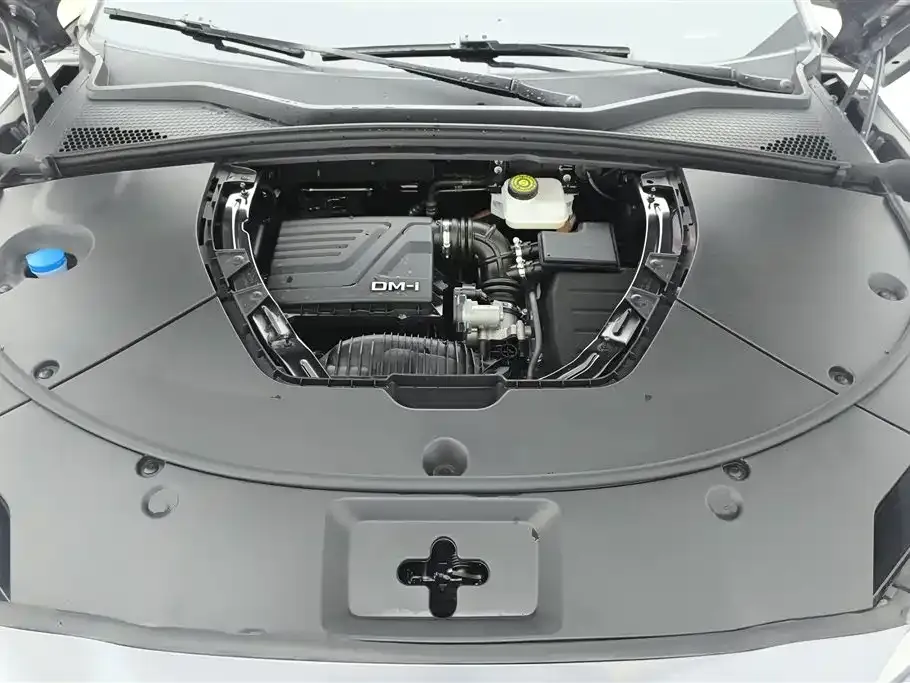 BYD PLUS New Energy — фото 10