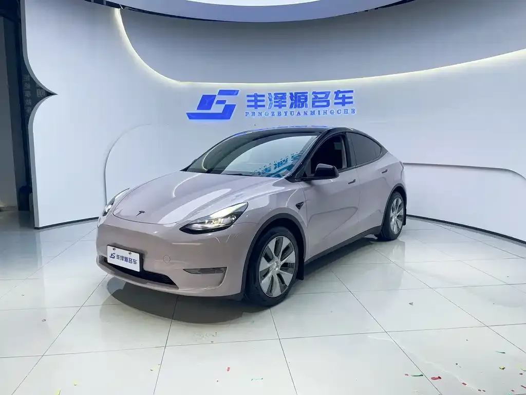 Tesla Model Y — фото 1