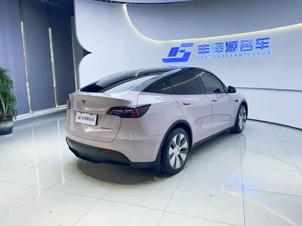 Tesla Model Y — фото 8