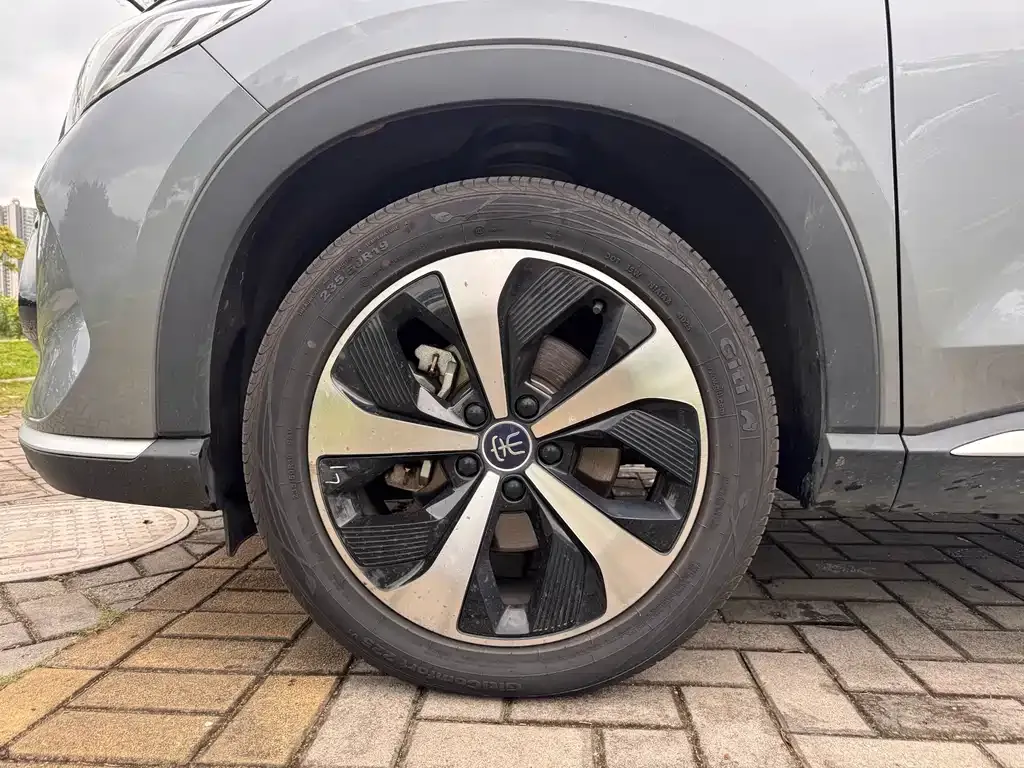 BYD PLUS New Energy 2023 из CN, фото 4