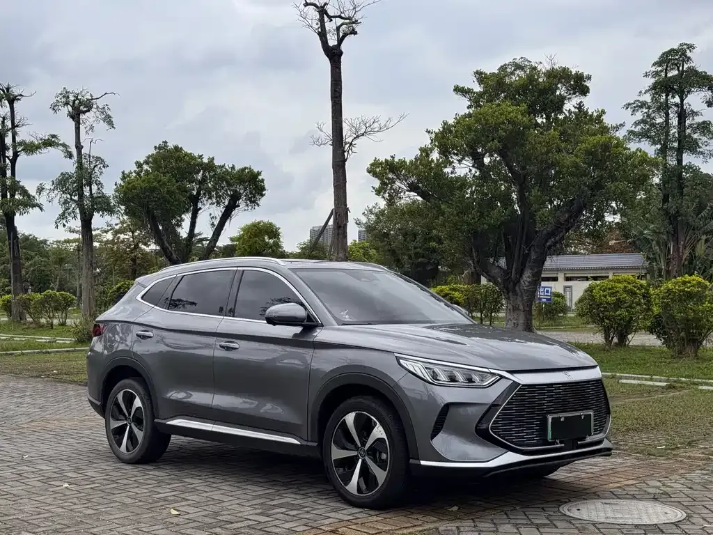 BYD PLUS New Energy 2023 из CN, фото 10