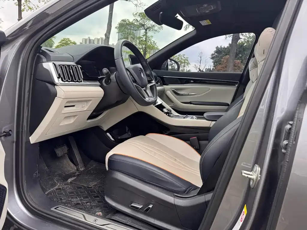 BYD PLUS New Energy 2023 из CN, фото 6