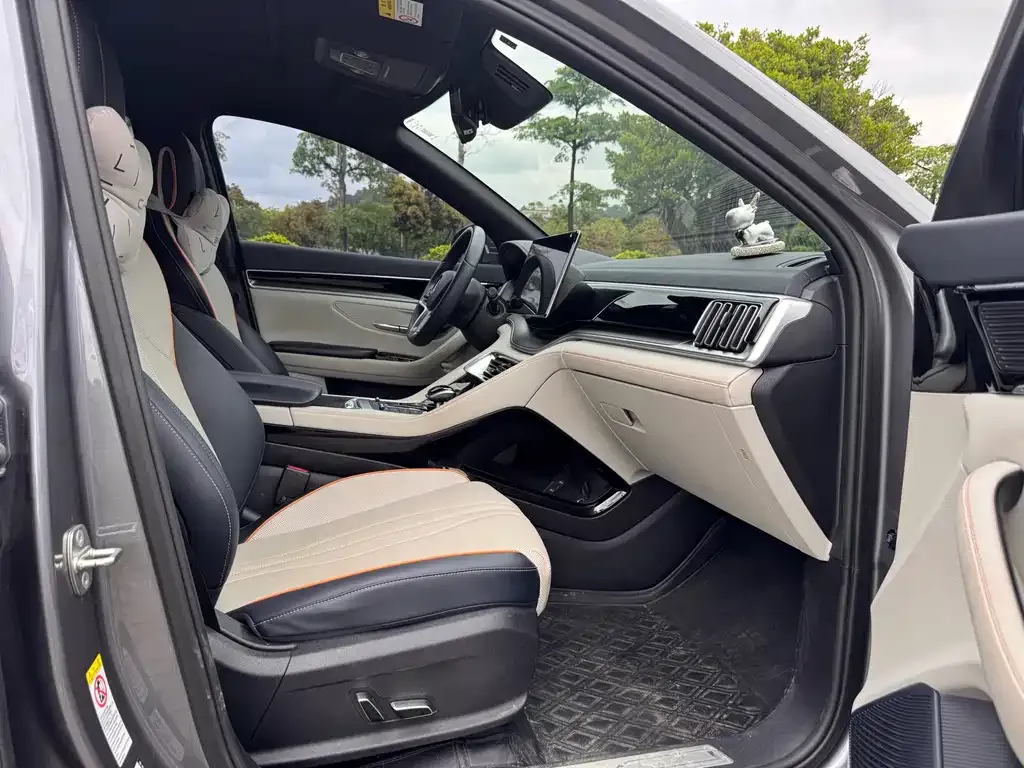 BYD PLUS New Energy 2023 из CN, фото 3
