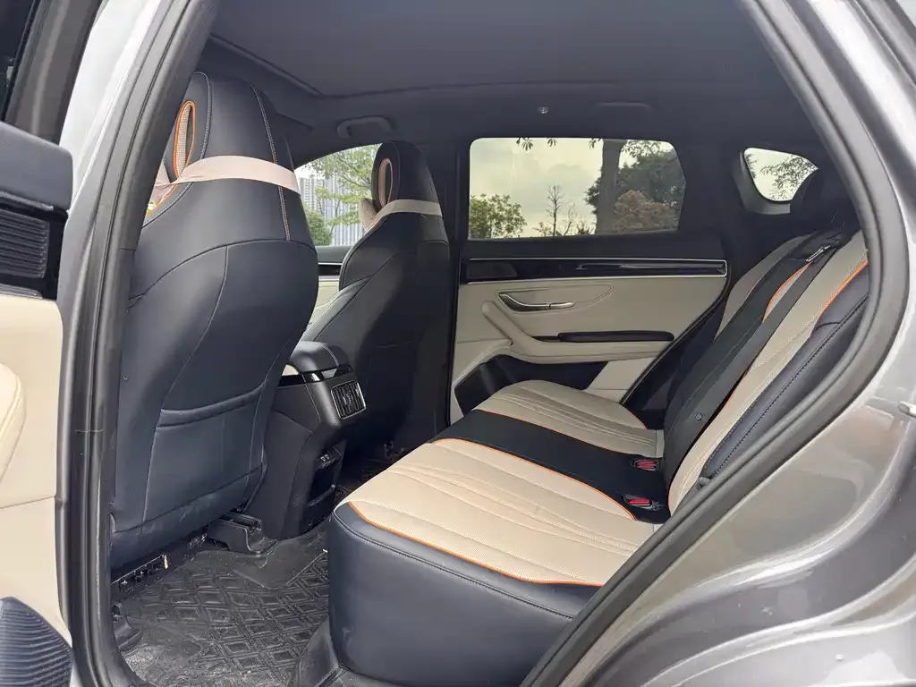 BYD PLUS New Energy 2023 из CN, фото 2