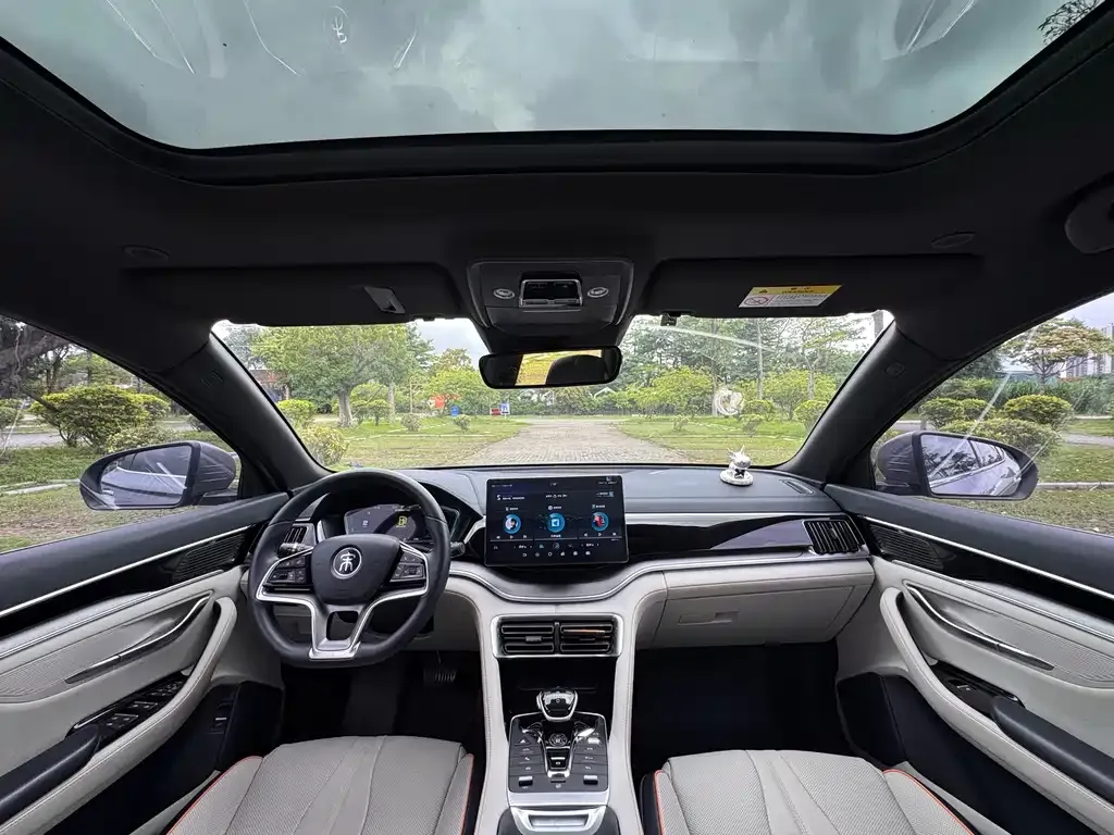 BYD PLUS New Energy 2023 из CN, фото 8