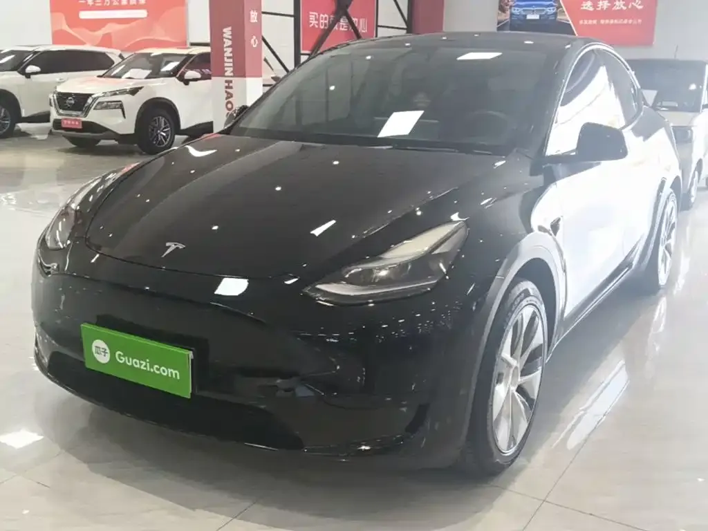 Tesla Model Y — фото 6