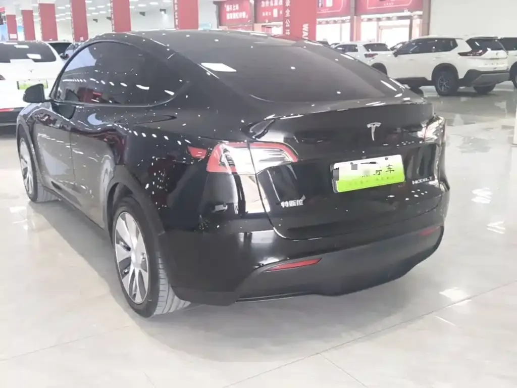 Tesla Model Y — фото 10