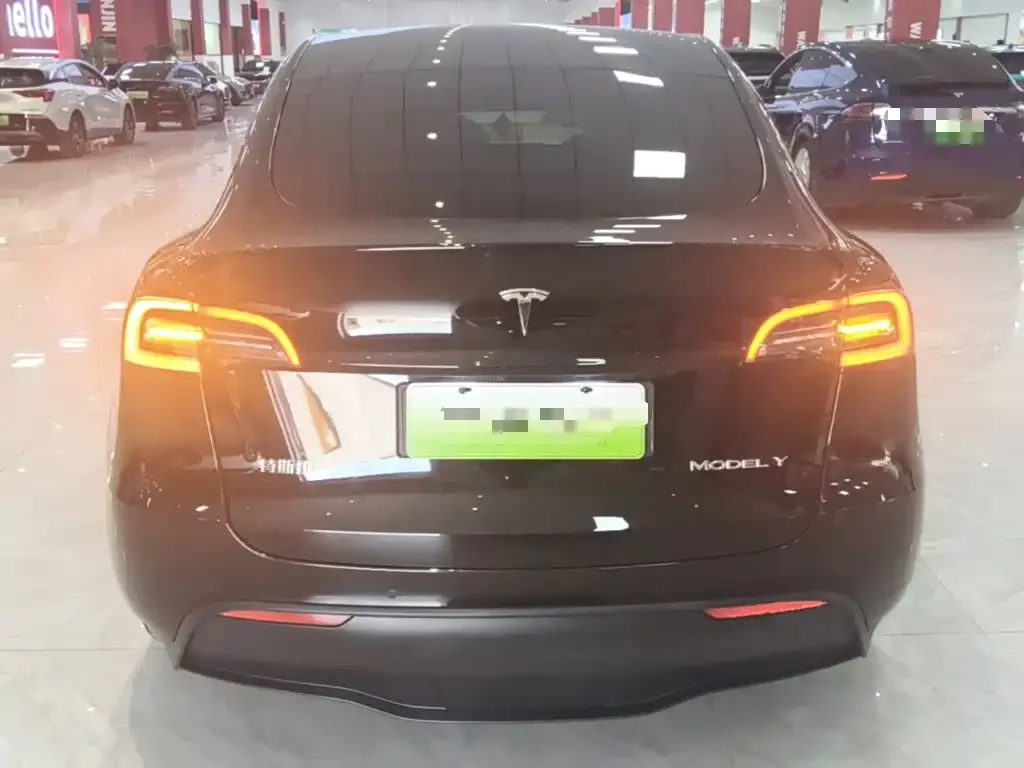 Tesla Model Y — фото 2