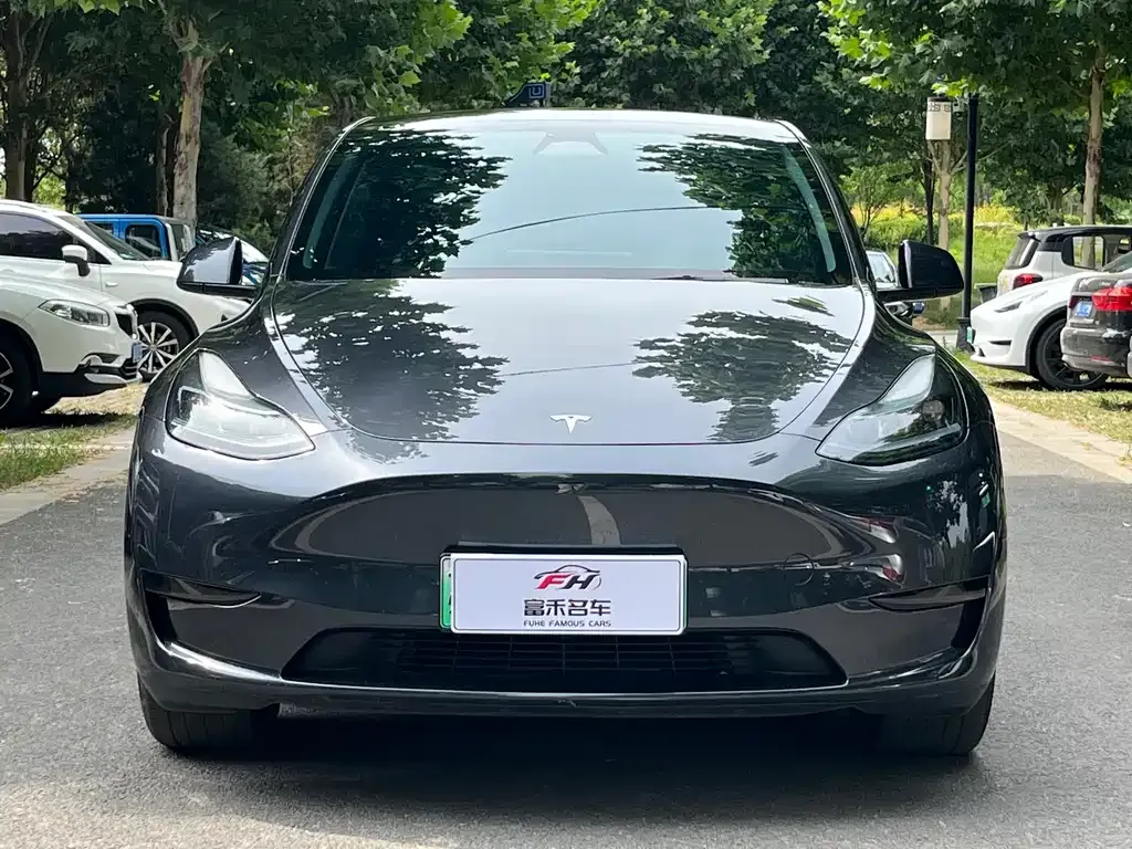 Tesla Model Y — фото 6