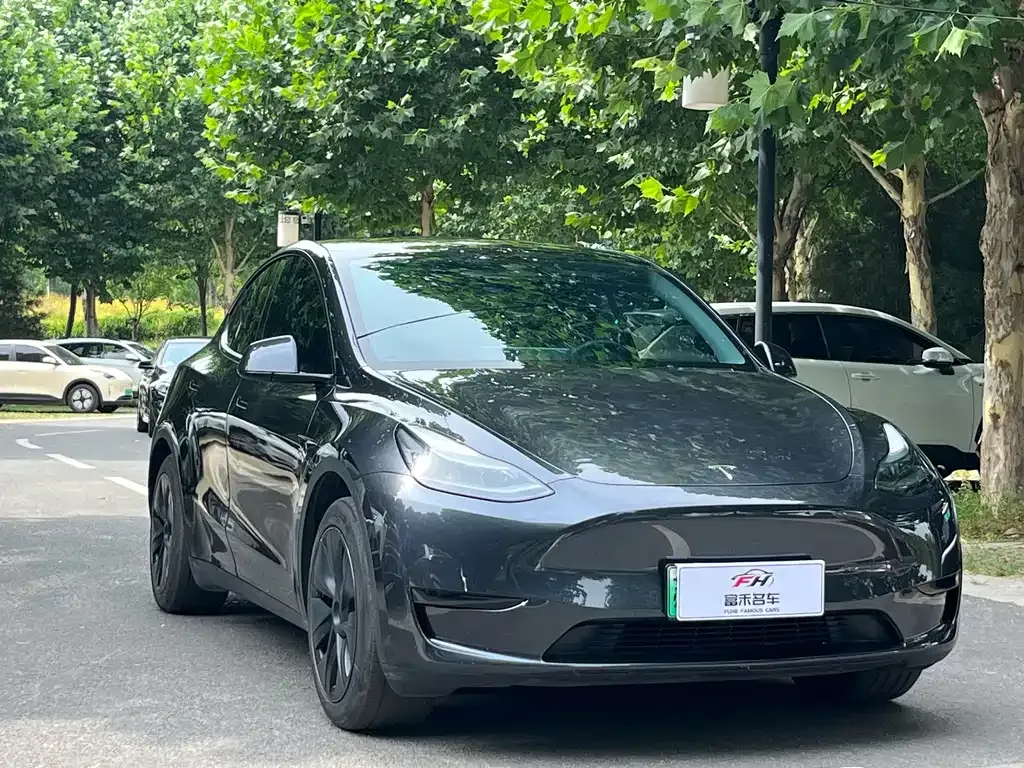 Tesla Model Y — фото 10