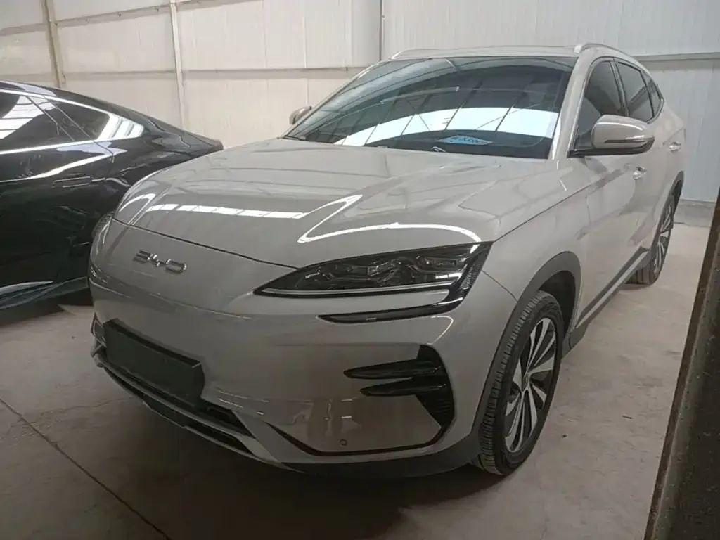 BYD PLUS New Energy — фото 1