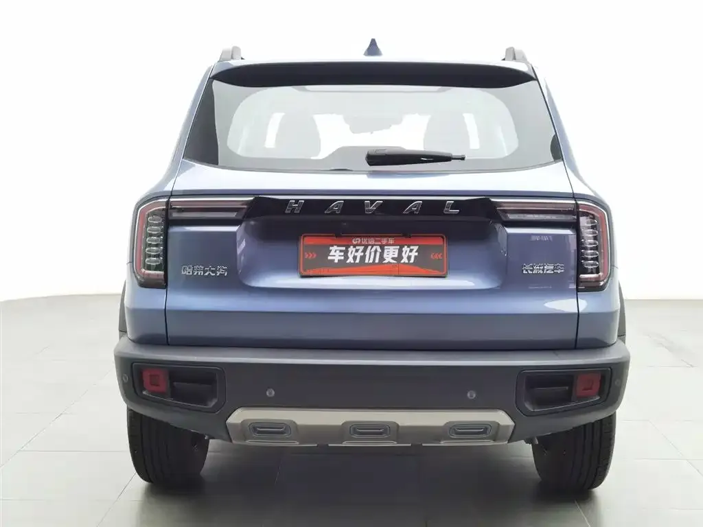 Haval Big Dog 2023 из CN, фото 6
