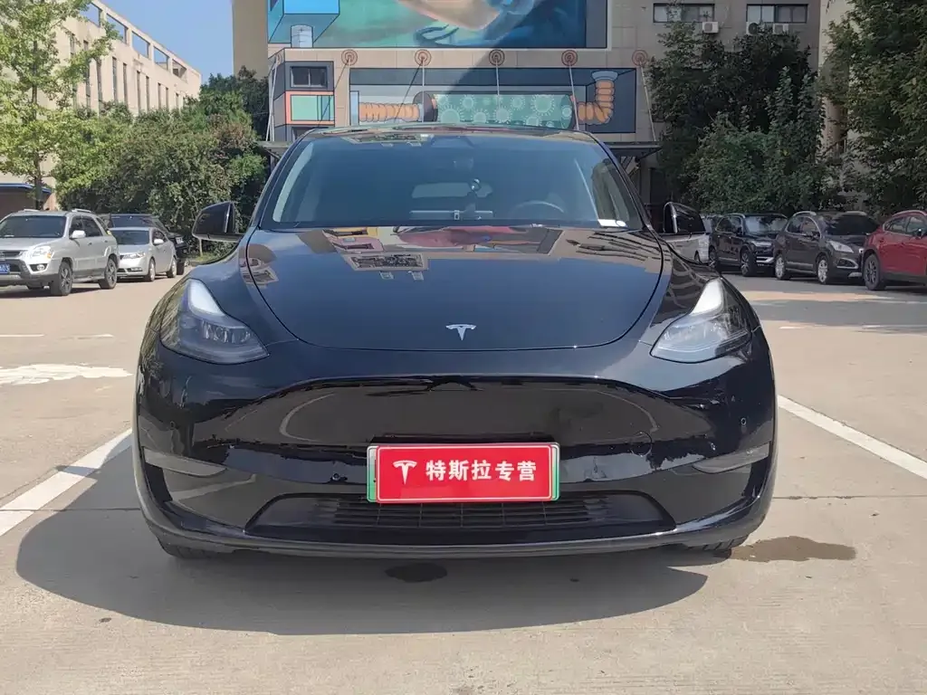 Tesla Model Y — фото 9