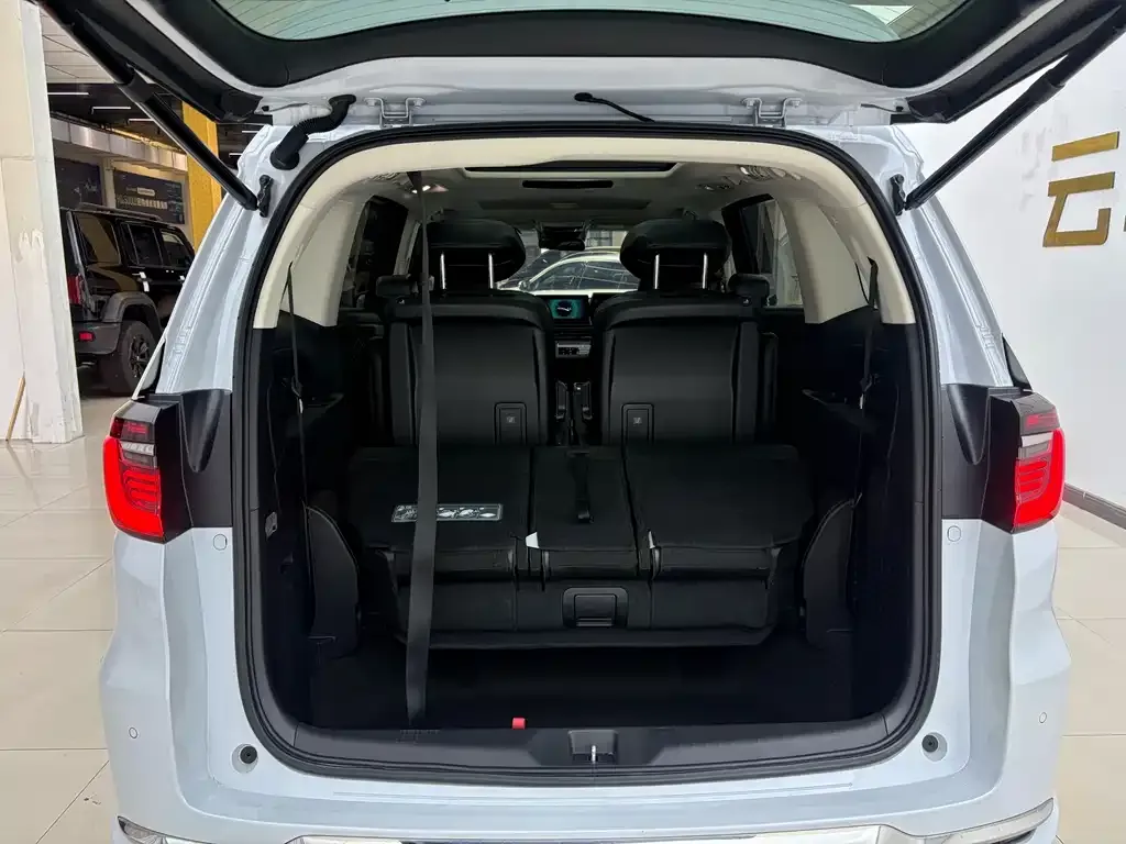 Honda Elysion 2024 из CN, фото 3