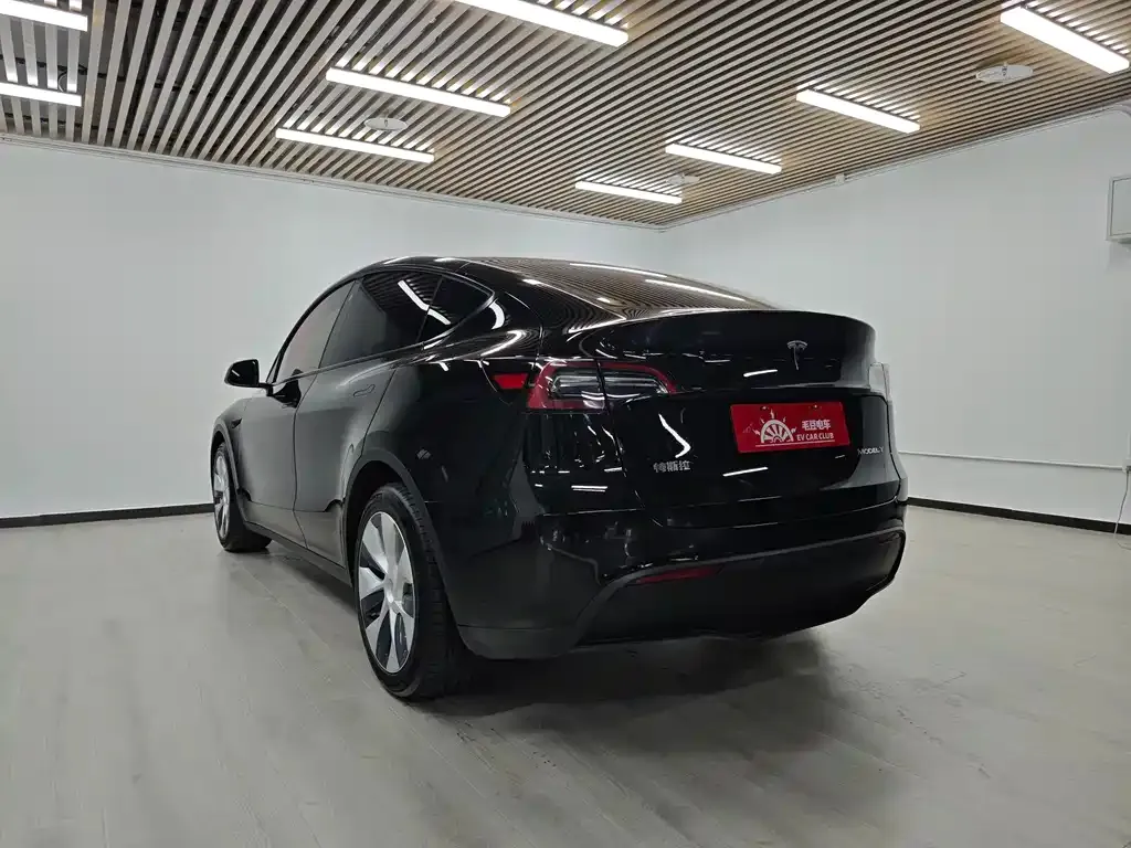 Tesla Model Y — фото 10