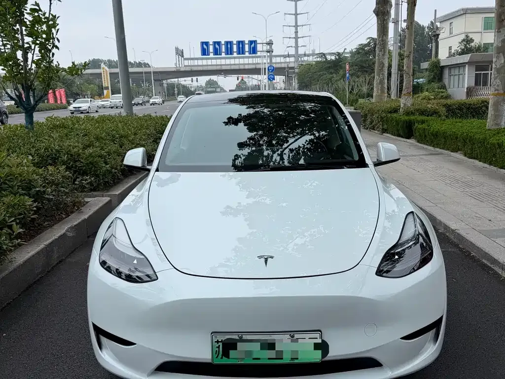 Tesla Model Y — фото 1