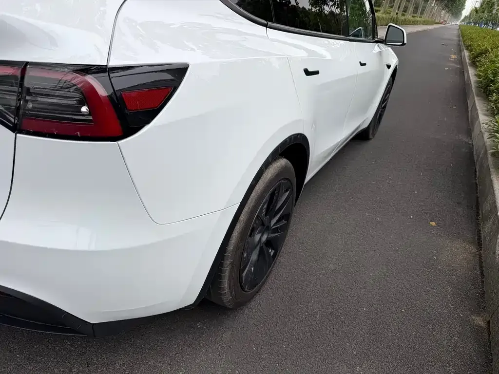 Tesla Model Y — фото 9