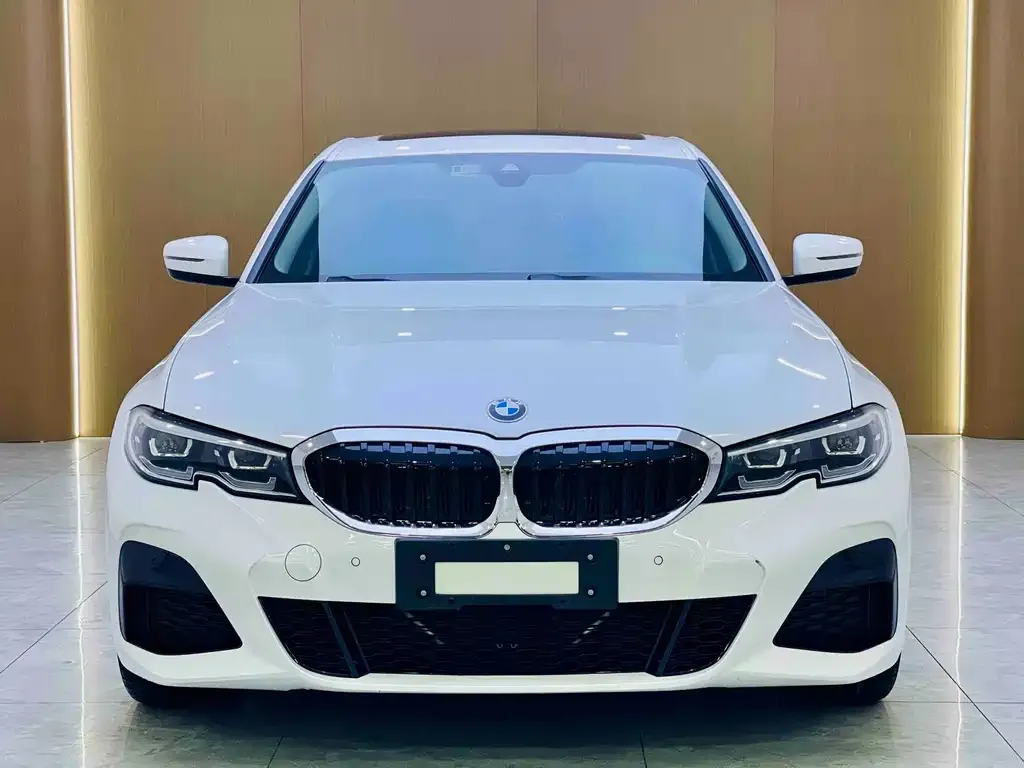 BMW 3 Series 2021 из CN, фото 2