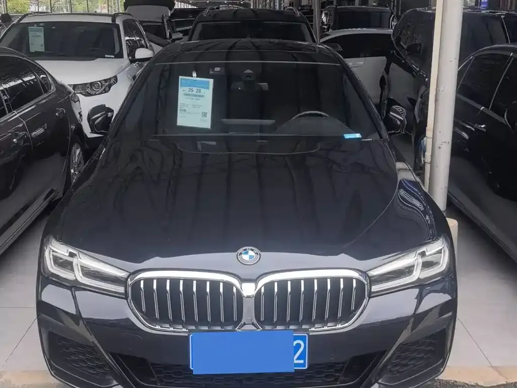 BMW 5 Series 2022 из CN, фото 4
