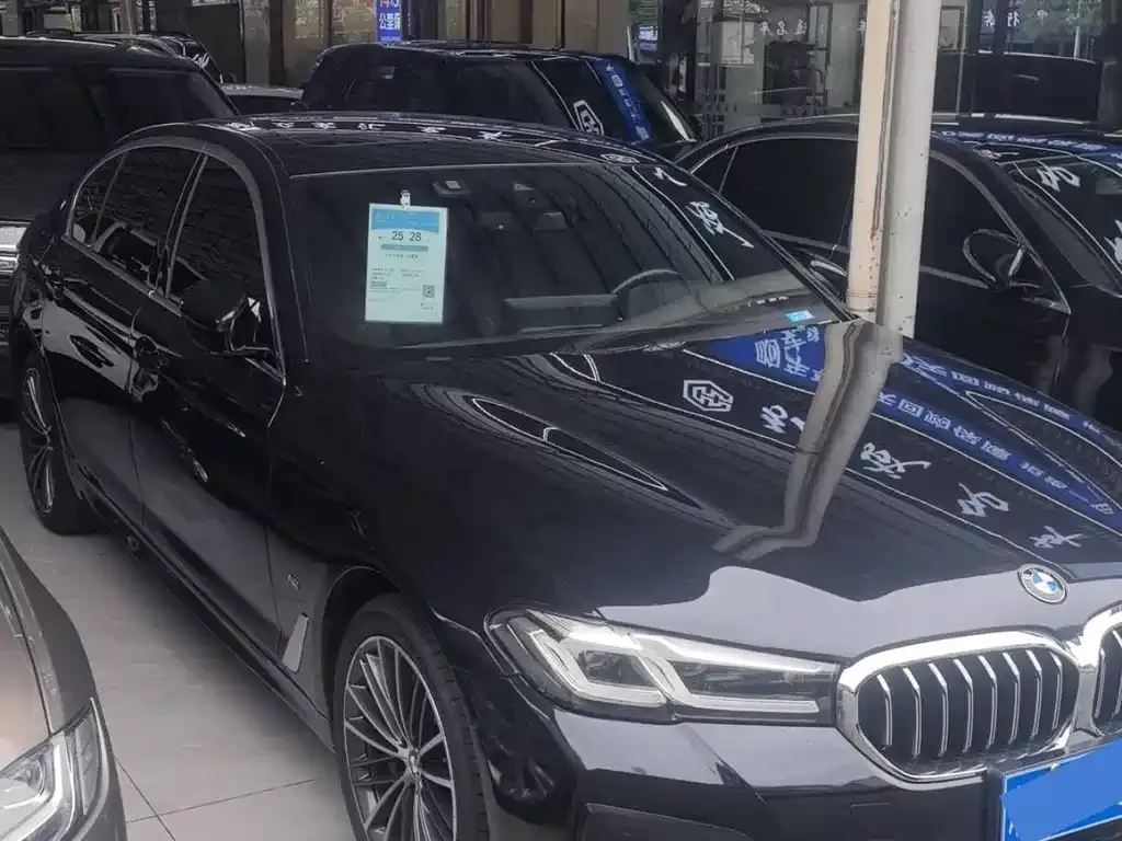 BMW 5 Series 2022 из CN, фото 3