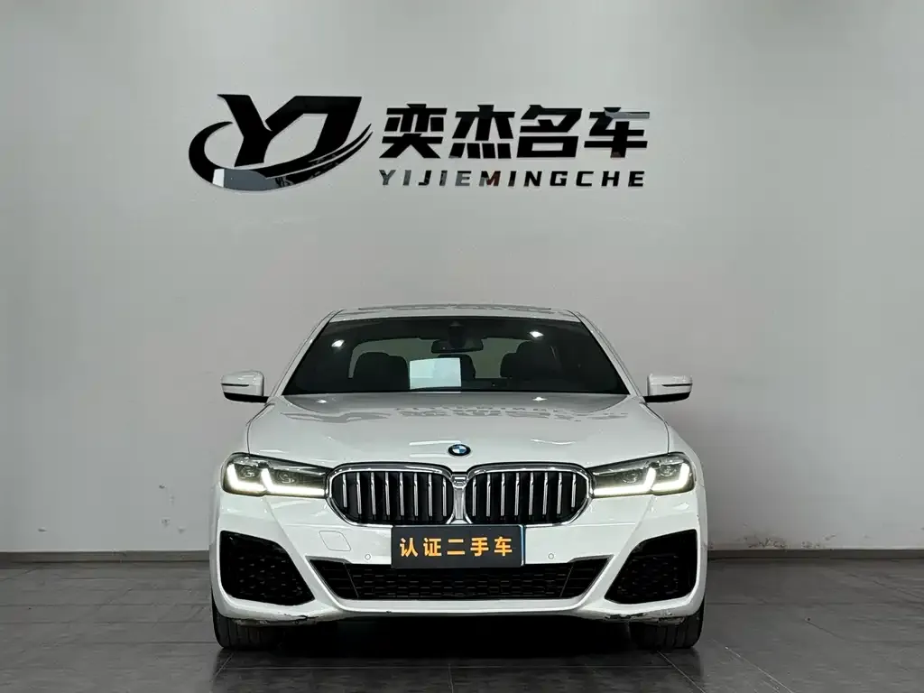 BMW 5 Series (Import) 2021 из CN, фото 8