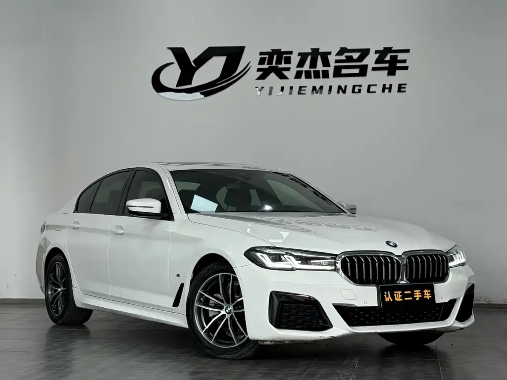 BMW 5 Series (Import) 2021 из CN, фото 2