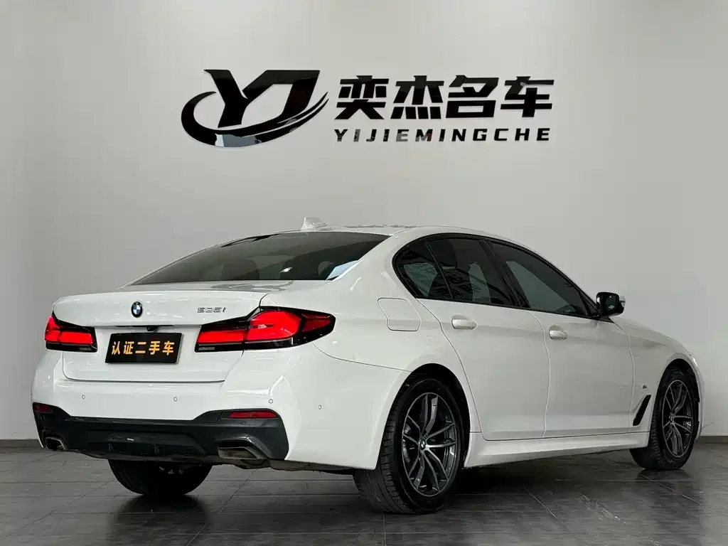 BMW 5 Series (Import) 2021 из CN, фото 6