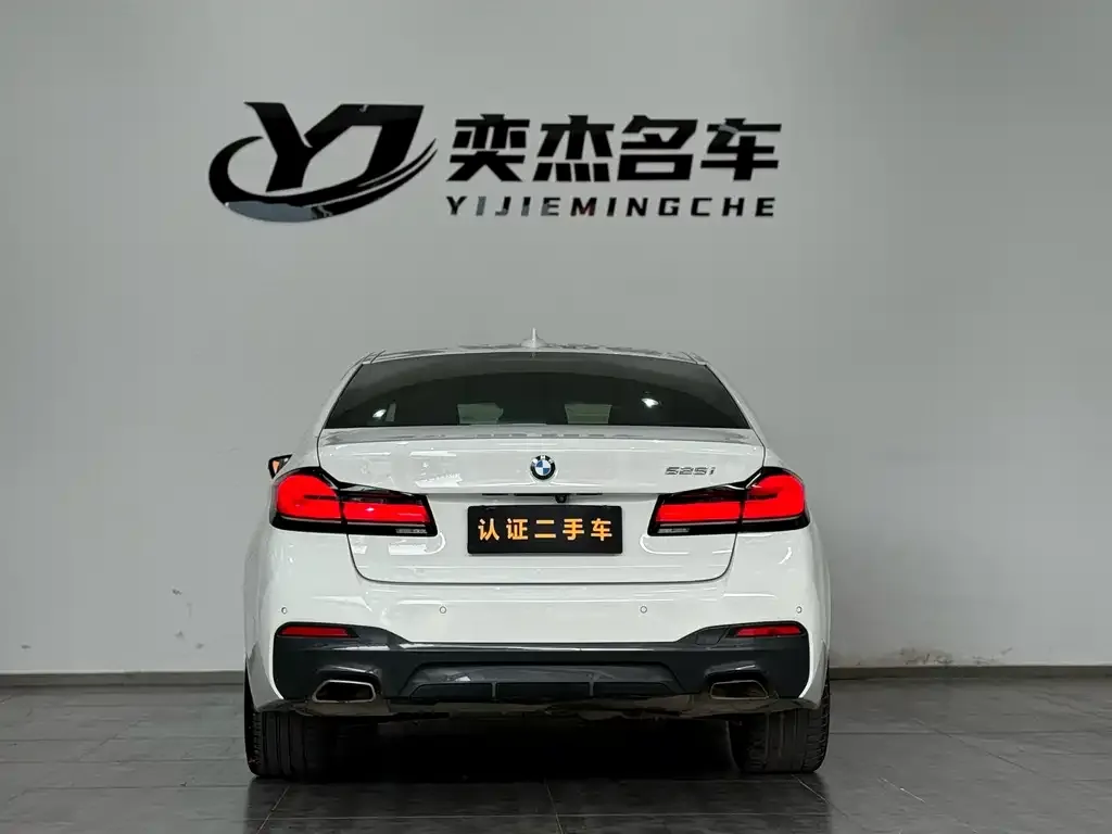 BMW 5 Series (Import) 2021 из CN, фото 3