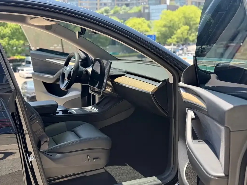 Tesla Model Y — фото 9