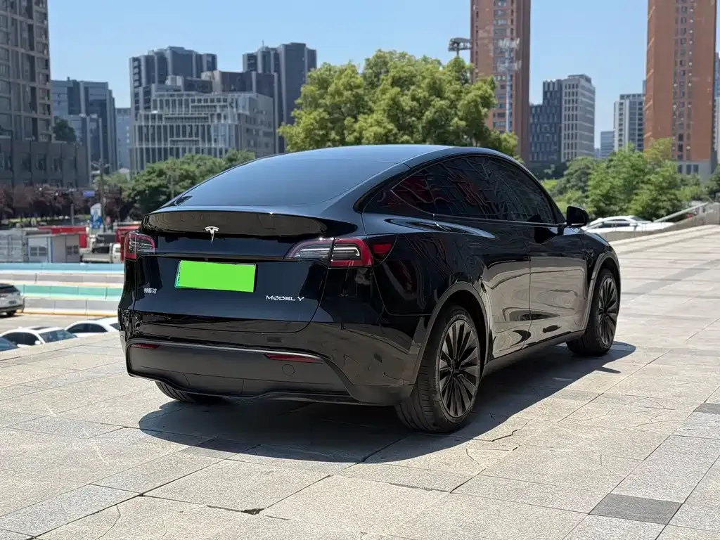 Tesla Model Y — фото 8