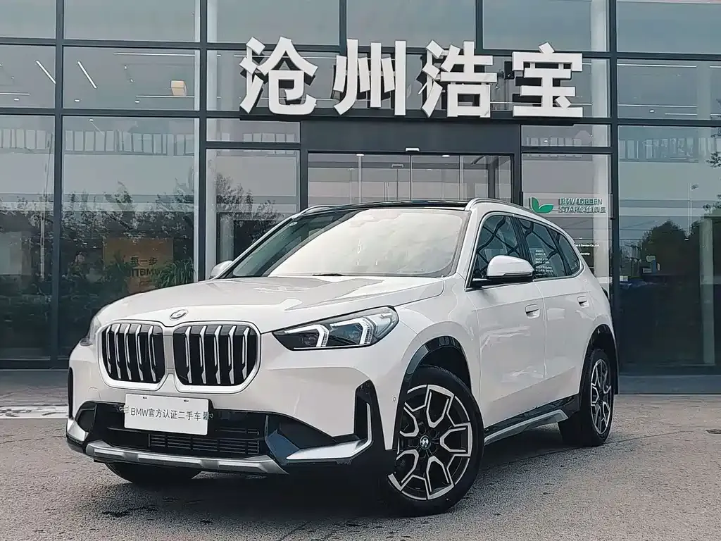 BMW X1 — фото 1